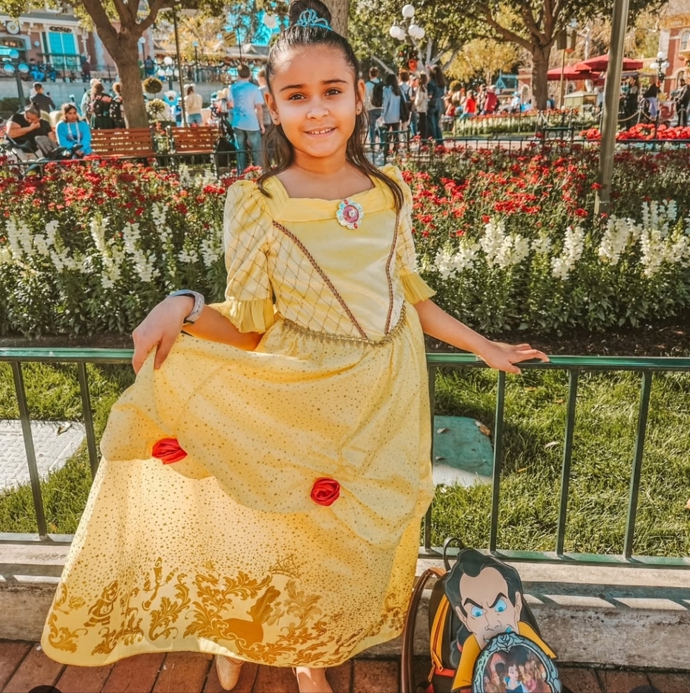 Belle Beauty And The Beast Dress